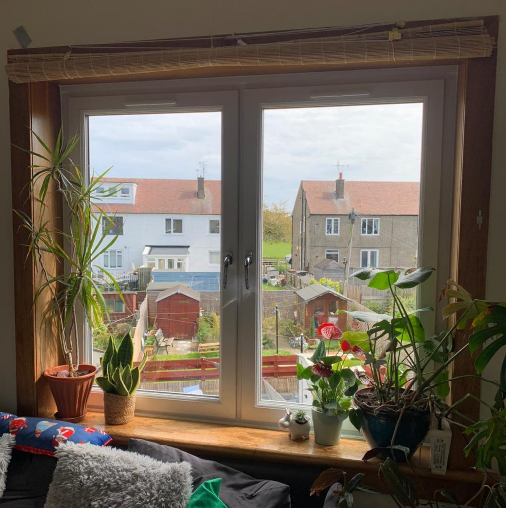 Interior Window Plants